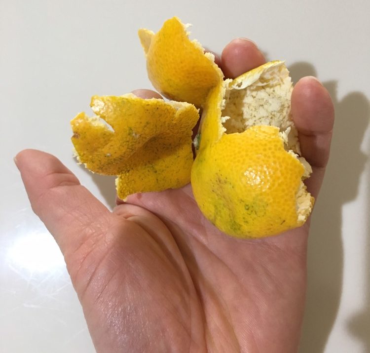 緑黄色野菜・果物を食べると肌が黄色く …